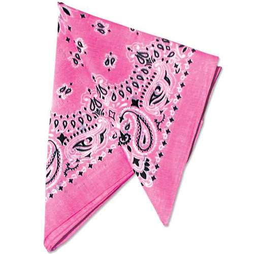 22 Inch Bandannas with 10 Colors