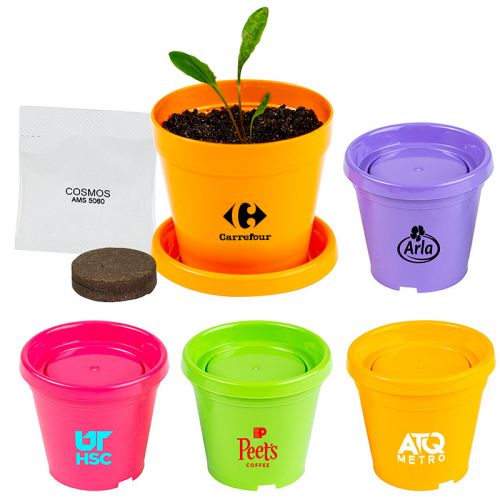 Colorful Planter Kits