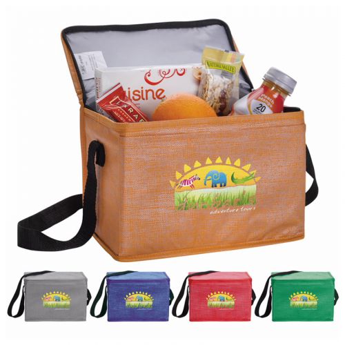 Non-Woven Shimmer Lunch Cooler Bags