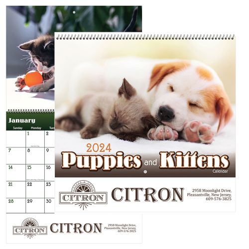 2020 Puppies and Kittens Spiral Wall Calendar