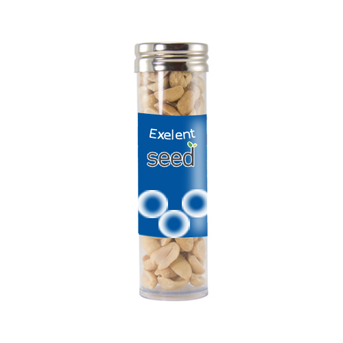 promotional large gourmet plastic tube with peanuts