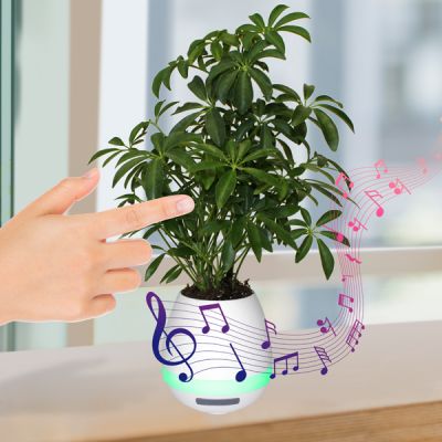 Musical Planter and Wireless Speakers